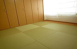 �d�オ�����15�o