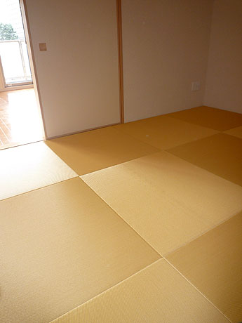 ���@���o����􂨂���