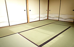 �V�R���y��