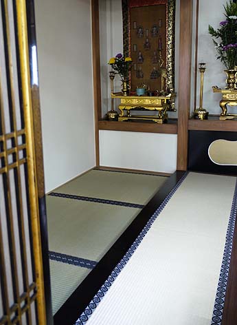 ���w���V��