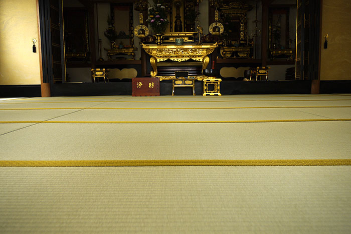 ���@�{��24�����V��