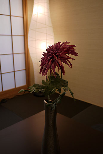 ������@�J���[������