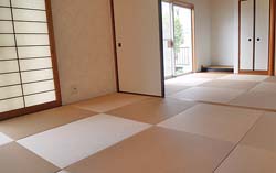 ����̨��