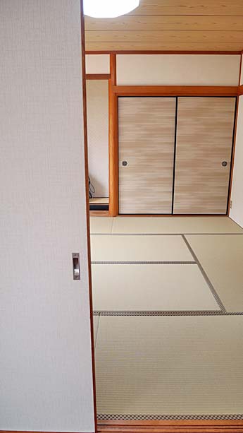 ���ꂢ�ȏ���