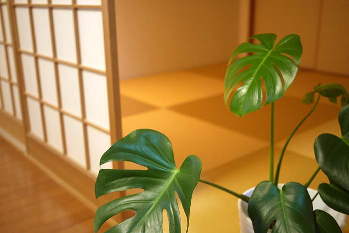 ���������@�����F