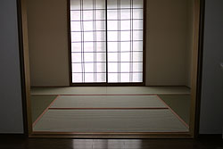 �V�R�����~���~������q��