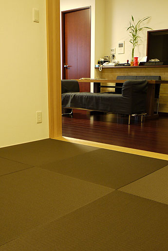 �������ȏ���