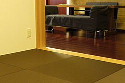 ���_������