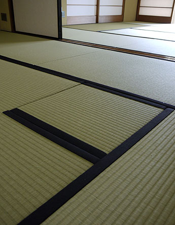 �����@�F��