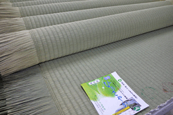 ������@�F�{���Y����