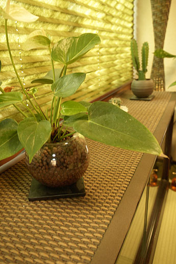 ����@���޵��ް�i