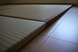 �d�����݁F30�o