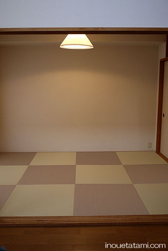 �������Șa�̉��o