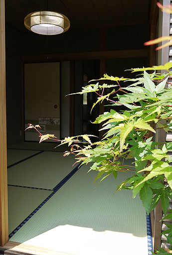 �h��Ə�E�h��ޏ�