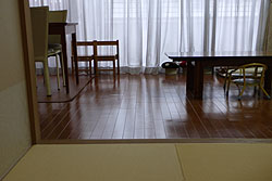 �����F�̗�����