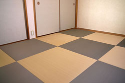 �����@�~�y