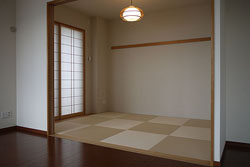 �J�N�e���t�B�b�g