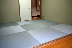 �x�x����