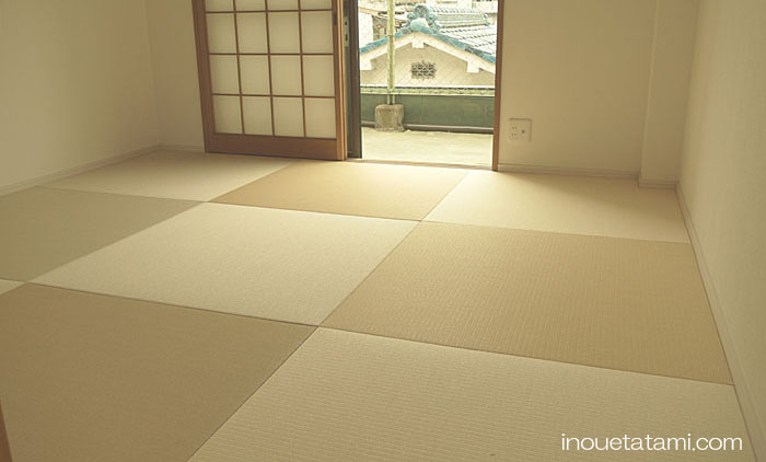 �R�F�g������