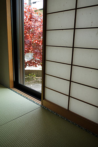 �V�R�f�ނ̏�Ɖ���