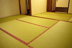 �X�܏�@�┒230