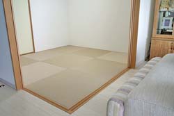 ������̐V��