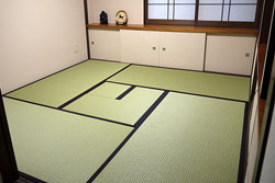 �_�C�P���􏰁F2000ECO