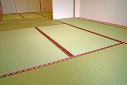 �޲�݌��₩����@2000ECO��