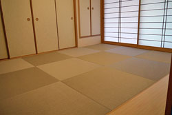 ���ǂ��Z���̊y��������