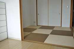 2�F�g����