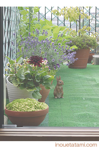 �����l�@�L��������܂����B���㋤�X�������肢�v���܂��B