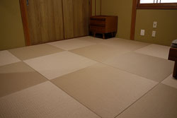 �����F�ƊD���F�̃~�b�N�X