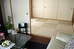 �������L���������