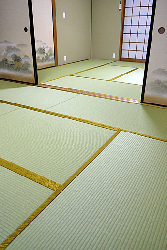 �x�x����