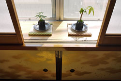 �������ȏ�������