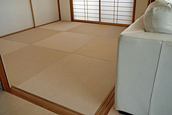 ��������Ȃ��_�C�P���a��