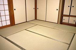 ���������ޏ�