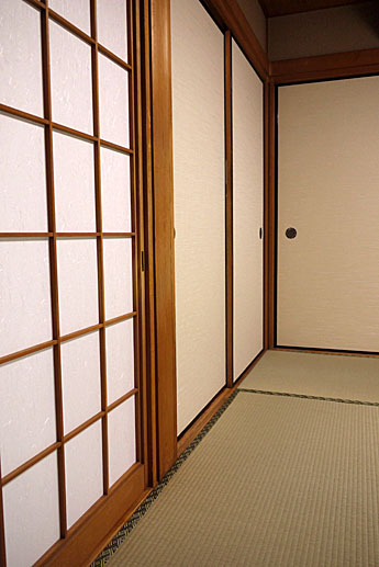 �������̉_����