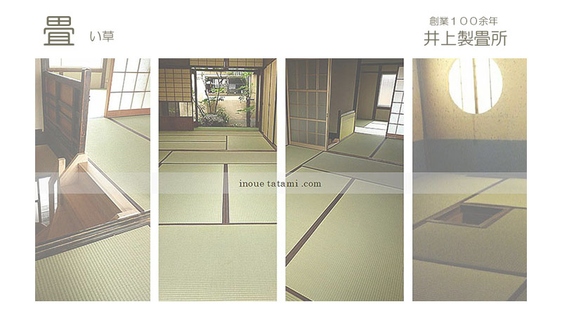 �����@����