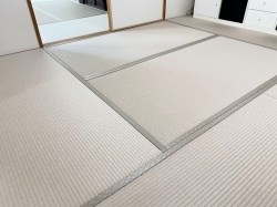 �_�C�P���┒