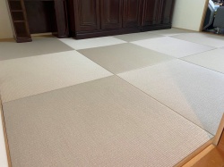 �Ƌ�ړ���|�������C����������