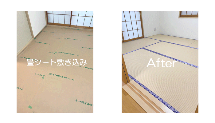 ���|����ɏ�V�[�g