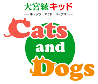 �L�b�Y��@�􉏁@����