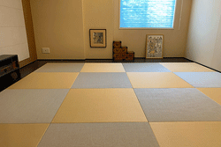 ������̐V��