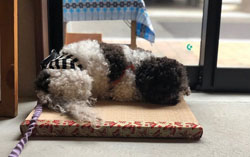 ����ق��