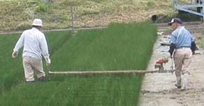 ������\�̂ł���܂ŁB