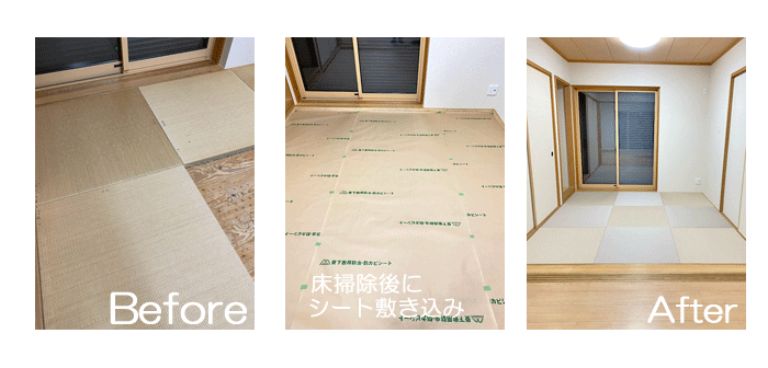 ���|���v���܂�